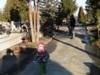 pict0039.jpg
