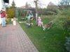 dscn0232.jpg