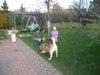 dscn0233.jpg
