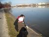 20090315_154506_030.jpg