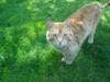 20090517_141352_096.jpg